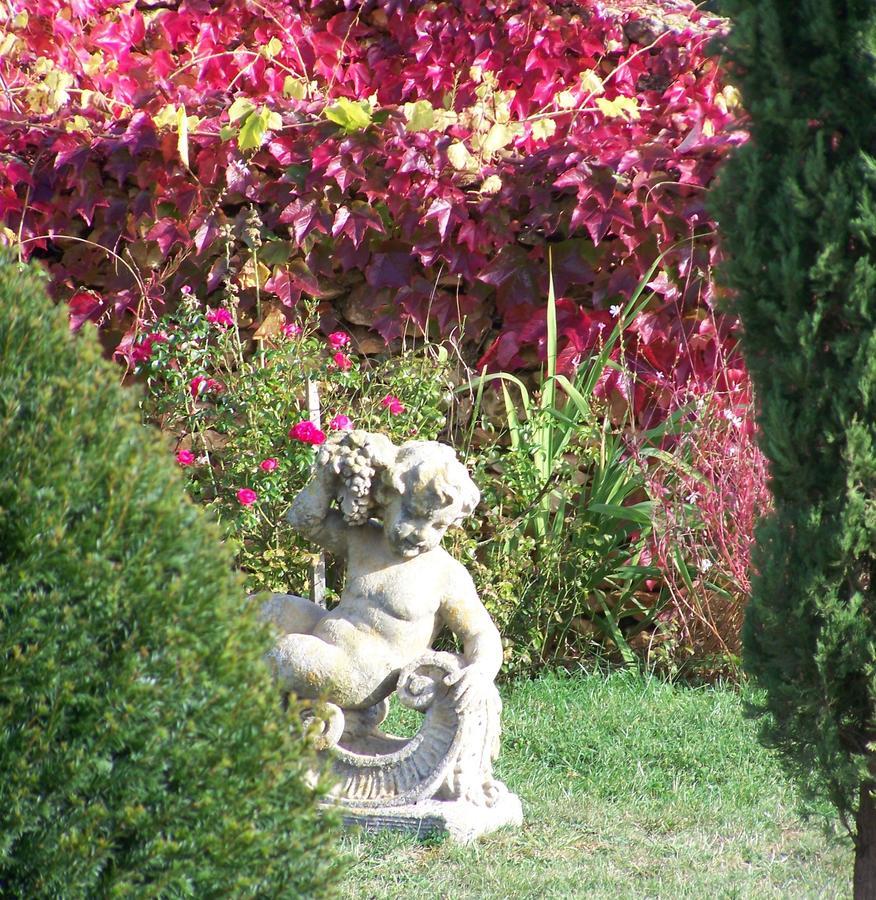 La Charmeraie Bed and Breakfast Saint-Cirq  Zewnętrze zdjęcie